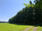 Fast ein Mustermischwald, gut erreichbarer schöner gesunder Wald im Chiemgau. Für Naturliebhaber! - fast alles Laubwald