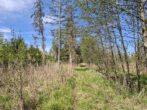 Naturidylle pur, was für den Waldliebhaber. Der Wendelstein in Sichtweite und ringsherum ein Biotop. - Zufahrt zum Wald
