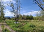 Naturidylle pur, was für den Waldliebhaber. Der Wendelstein in Sichtweite und ringsherum ein Biotop. - Zufahrt