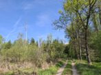 Naturidylle pur, was für den Waldliebhaber. Der Wendelstein in Sichtweite und ringsherum ein Biotop. - Zufahrt