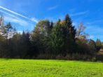 2 Tagwerk Fichtenwald, voll bestockt, ca. 20 jährig.Bestand, mit Rückegasse ideal für Waldliebhaber - Stirnseite Waldgrund