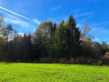 2 Tagwerk Fichtenwald, voll bestockt, ca. 20 jährig.Bestand, mit Rückegasse ideal für Waldliebhaber, 83123 Amerang, Sonstige Landwirtschaftsimmobilie