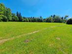 Zu verkaufen, Wiese verpachtet bis 31.12.2026, Zwischen Halfing und Bad Endorf - Bild