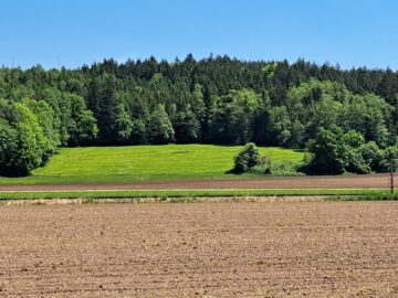 Zu verkaufen, Wiese verpachtet bis 31.12.2026, Zwischen Halfing und Bad Endorf, 83128 Halfing, Land-/Forstwirtschaft