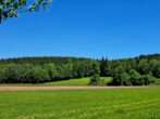 Zu verkaufen, Wiese verpachtet bis 31.12.2026, Zwischen Halfing und Bad Endorf - Bild