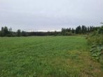 2 Tagwerk Wiese und 1 Tagwerk Waldgrund abgeholzt. Nähe Halfing. - Bild
